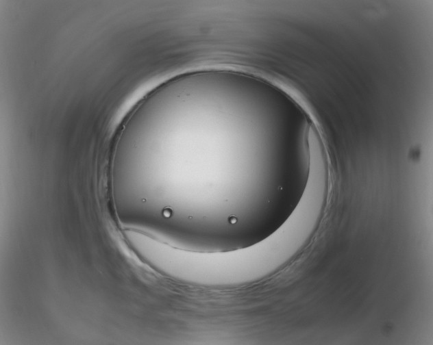 X0000116311101200912211917