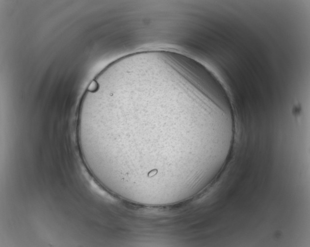 X0000116311102200912211917