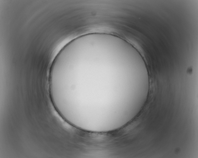 X0000116311103200912211917