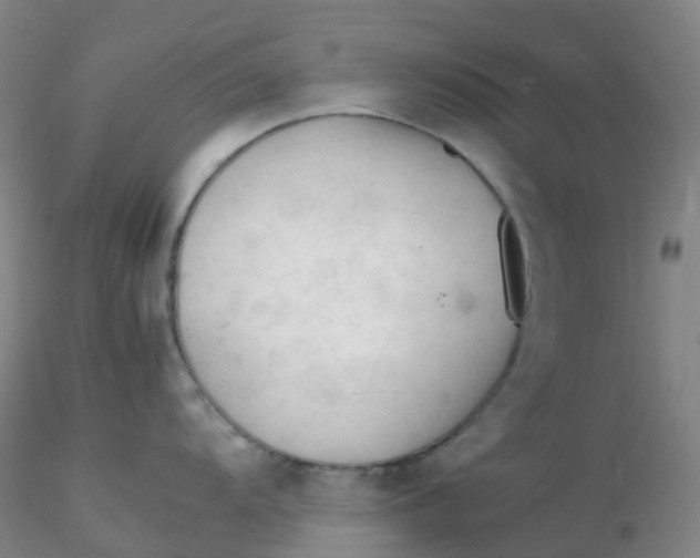 X0000116311104200912211917