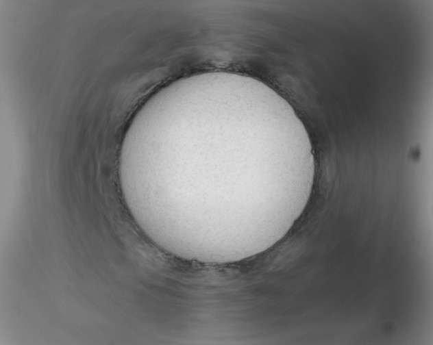 X0000116311105200912211916