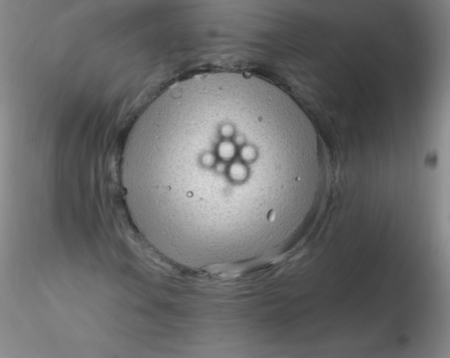 X0000116311106200912211916