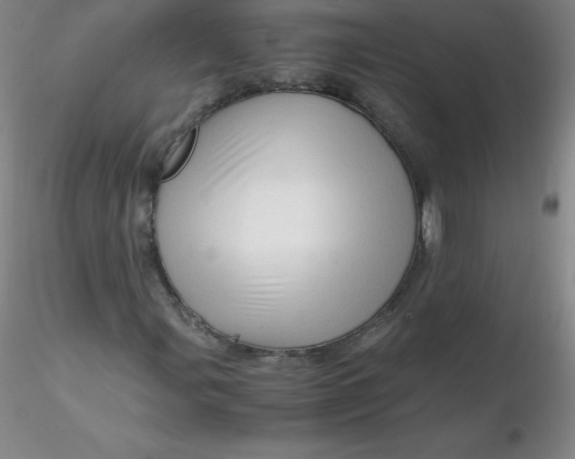 X0000116311107200912211916