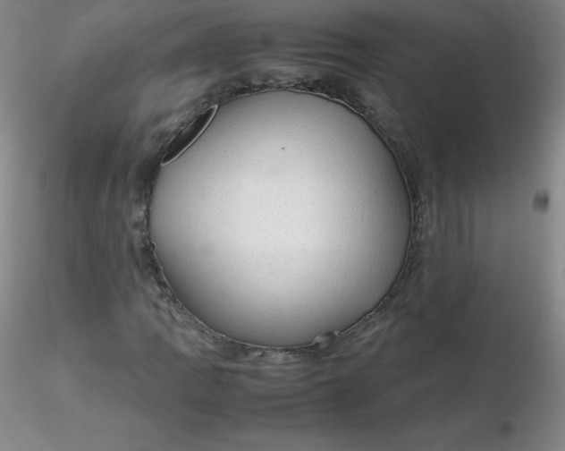 X0000116311109200912211916