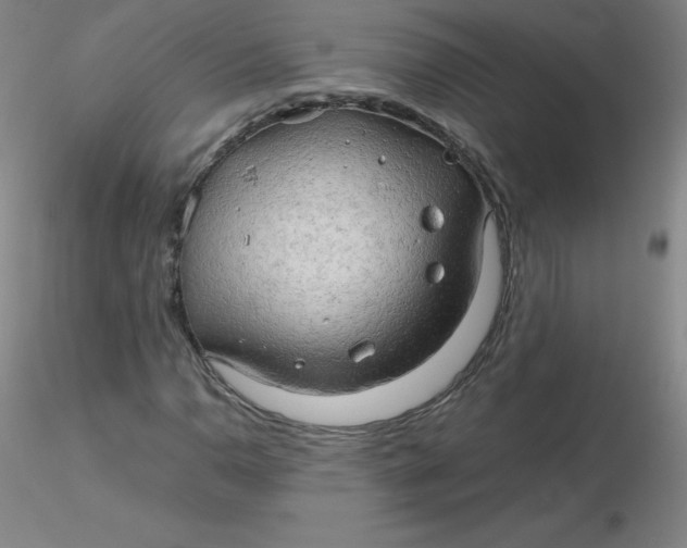 X0000116311110200912211916