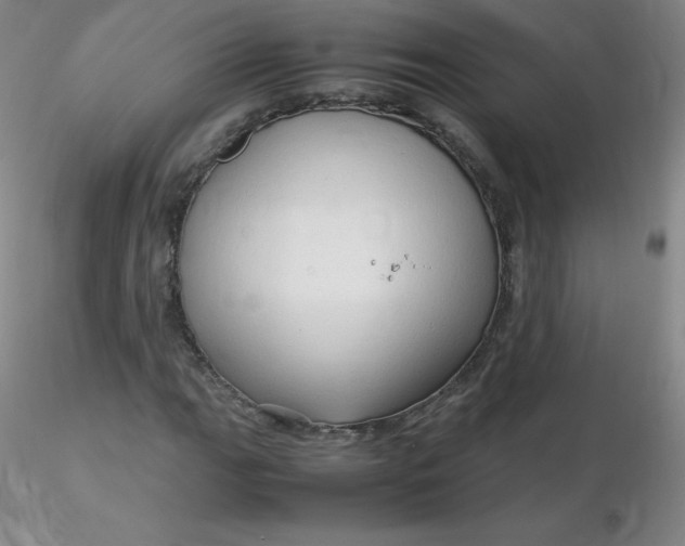 X0000116311111200912211916