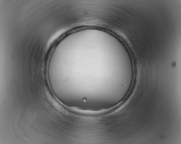 X0000116311114200912211916