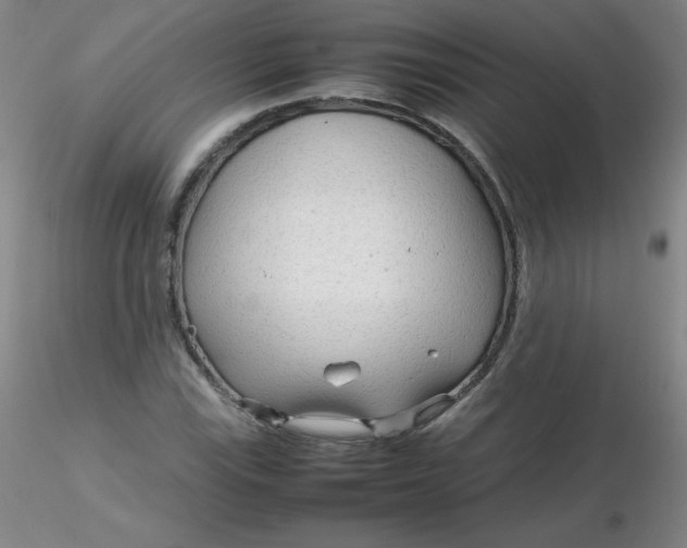 X0000116311115200912211916