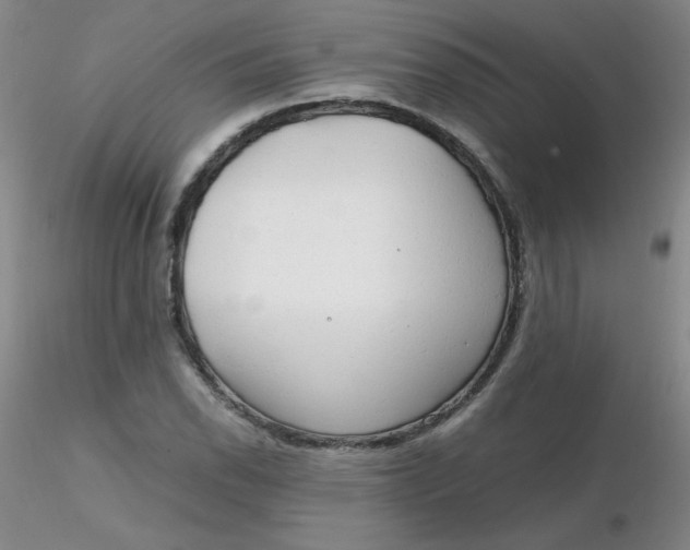 X0000116311118200912211917