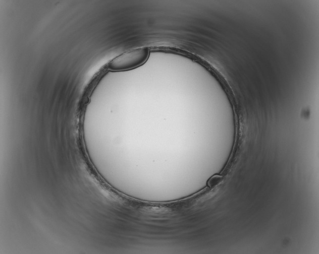 X0000116311119200912211917