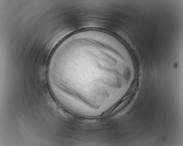 X0000116311121200912211917