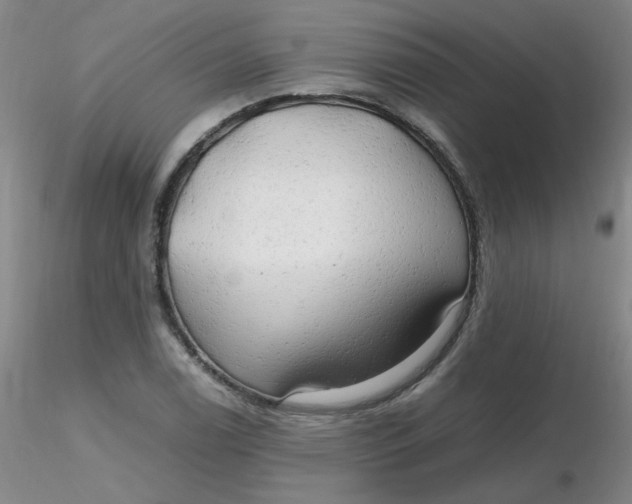 X0000116311122200912211917