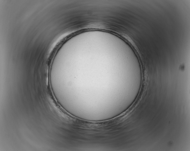 X0000116311123200912211917