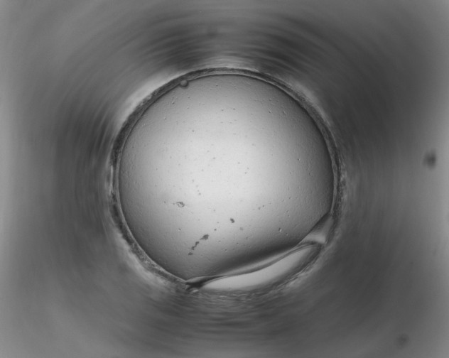 X0000116311125200912211917