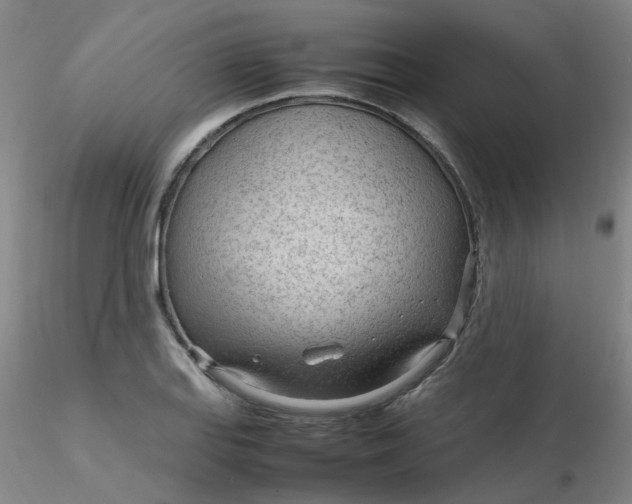 X0000116311127200912211917