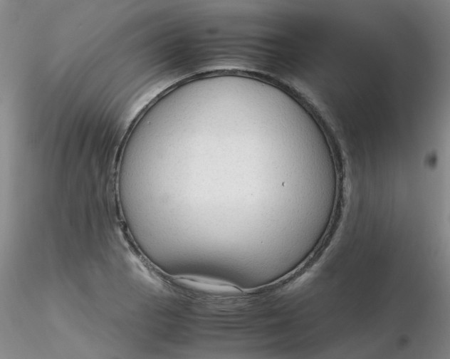 X0000116311129200912211917