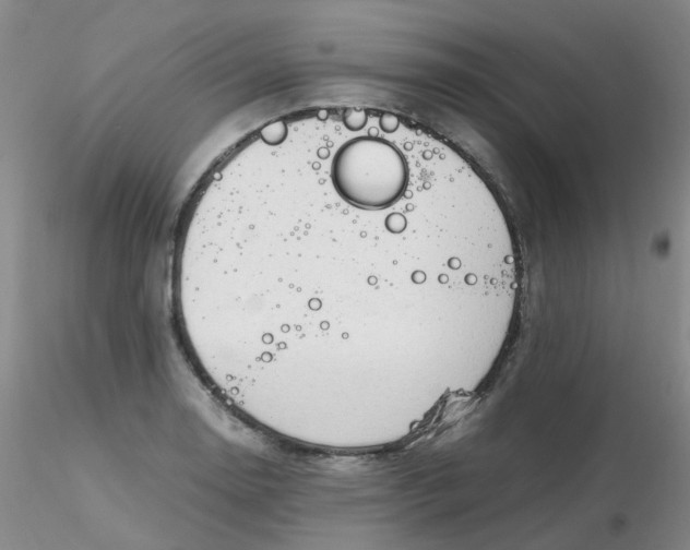 X0000116311130200912211917