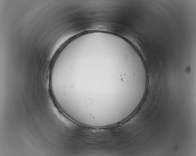 X0000116311131200912211917