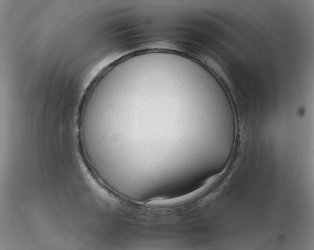 X0000116311133200912211917