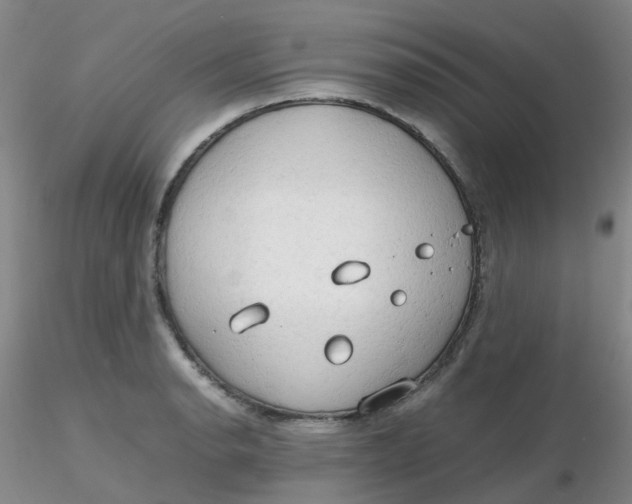 X0000116311134200912211917