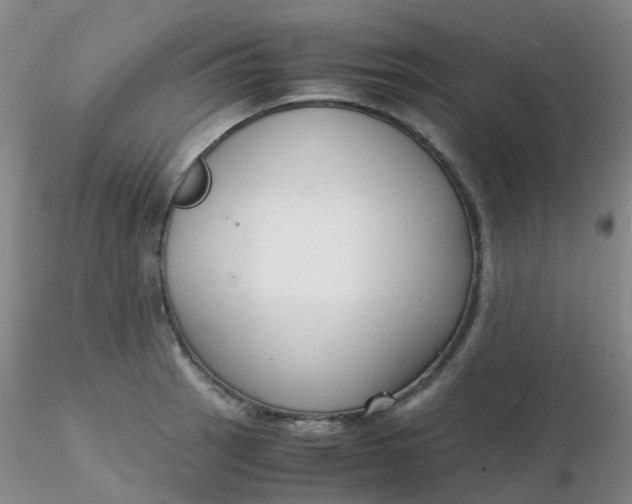 X0000116311137200912211917