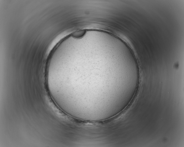 X0000116311138200912211917