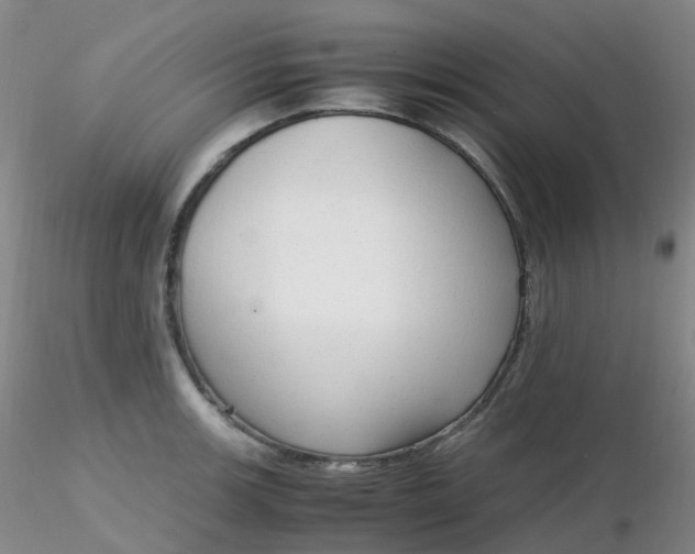 X0000116311139200912211917