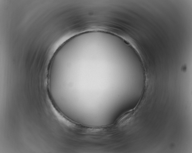 X0000116311143200912211917