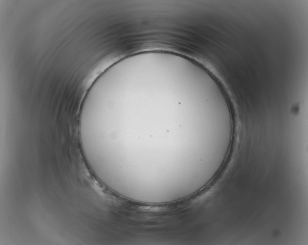 X0000116311145200912211917