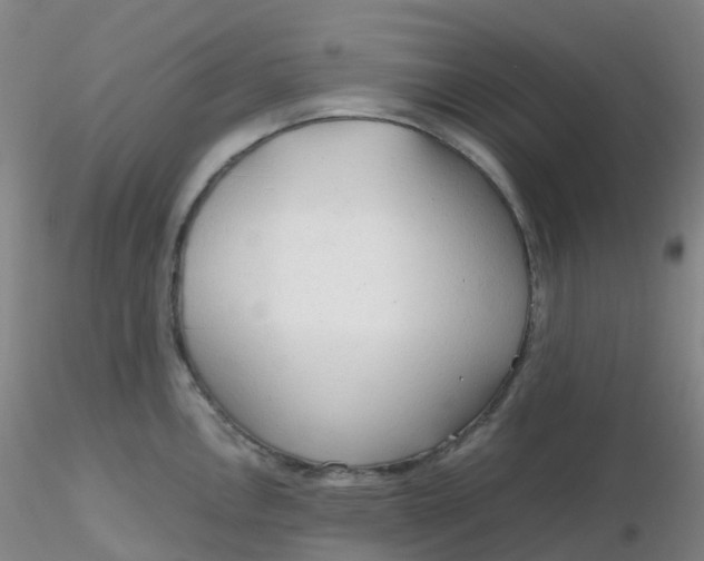 X0000116311146200912211917