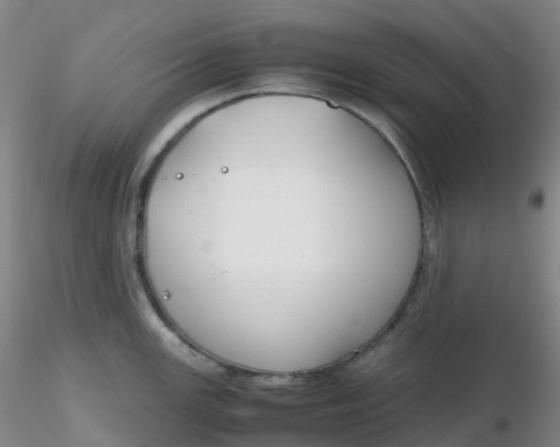 X0000116311147200912211917