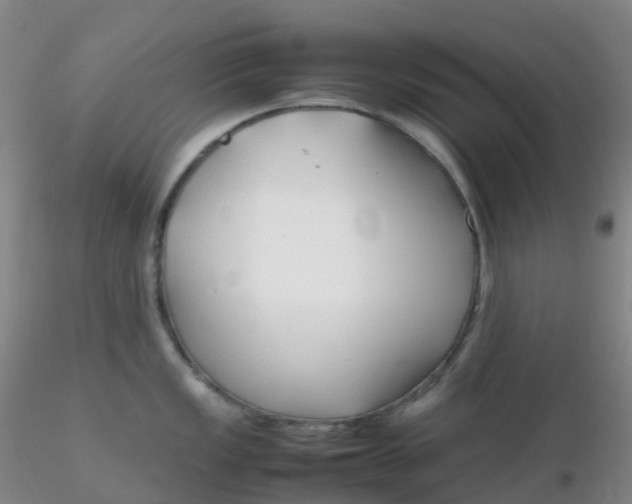 X0000116311149200912211917