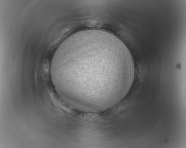 X0000116311154200912211916