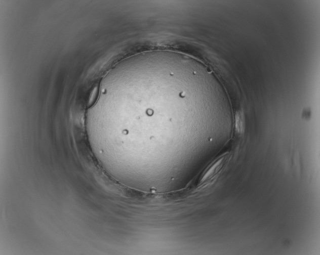 X0000116311155200912211916