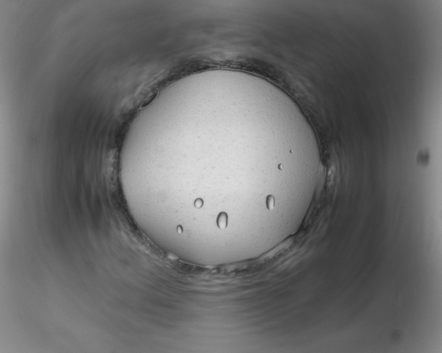 X0000116311156200912211916