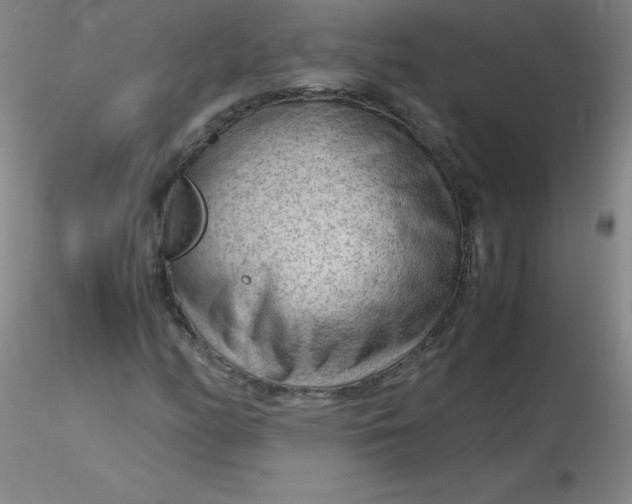 X0000116311158200912211916