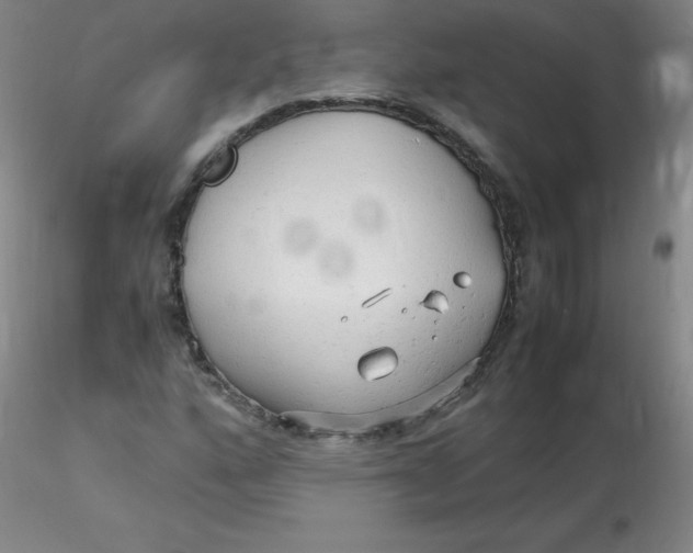 X0000116311160200912211916