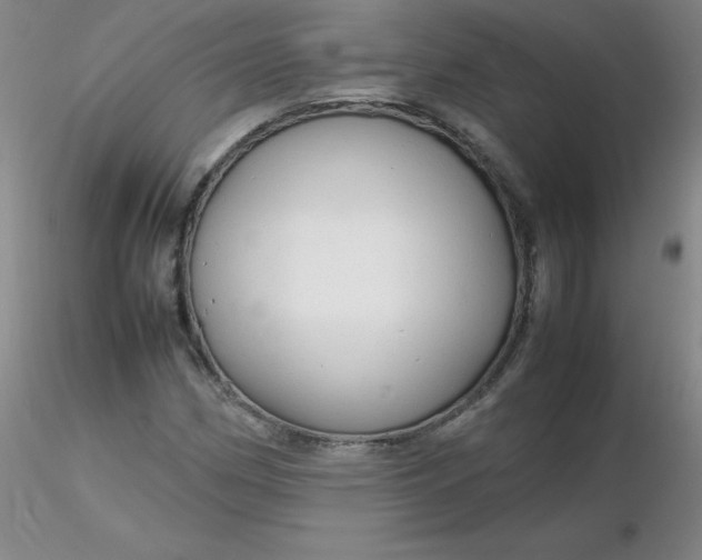 X0000116311162200912211916