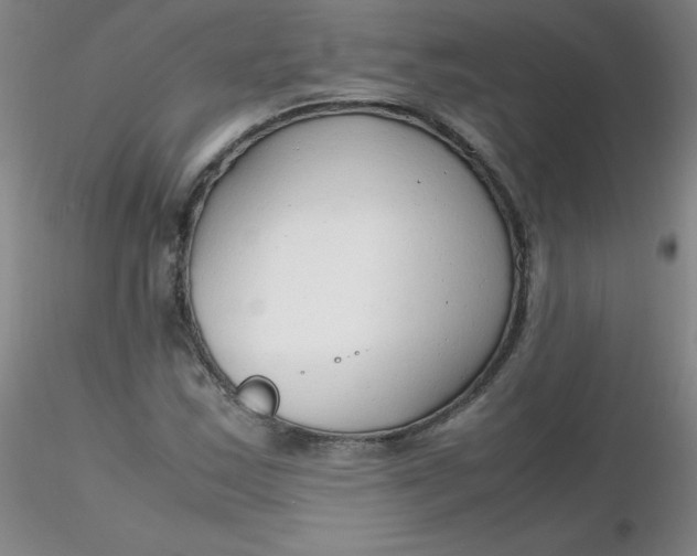 X0000116311163200912211916