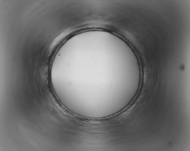 X0000116311164200912211916