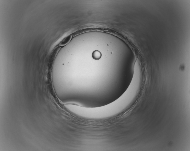 X0000116311165200912211916