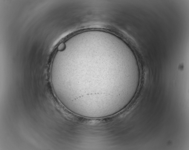 X0000116311166200912211916