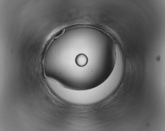 X0000116311168200912211916