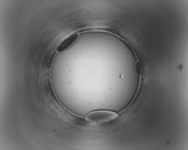 X0000116311169200912211916