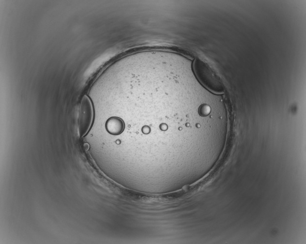 X0000116311171200912211916