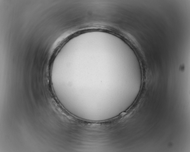 X0000116311172200912211916