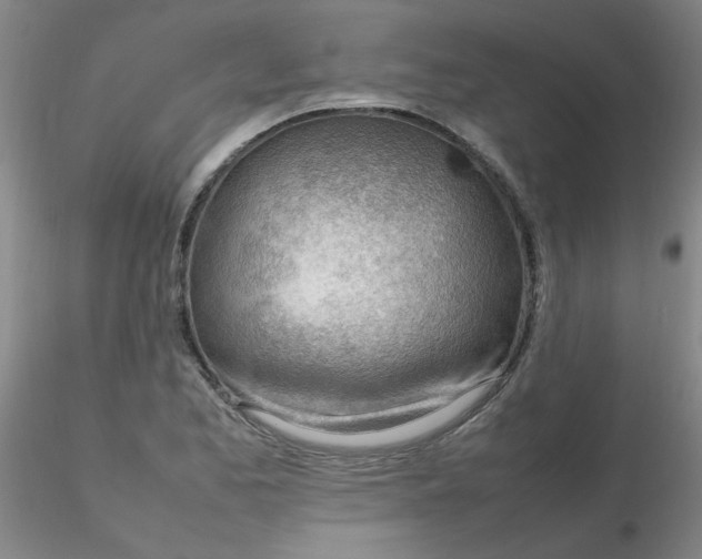 X0000116311173200912211916