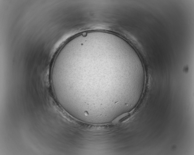 X0000116311174200912211916