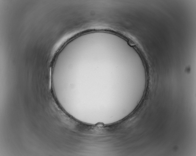 X0000116311175200912211916