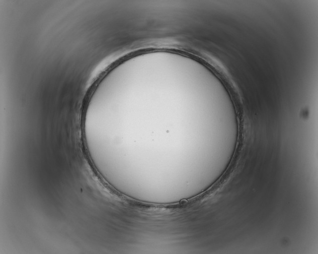 X0000116311176200912211916